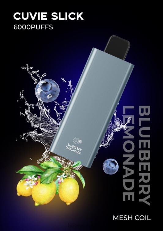 Slick Blueberry Lemonade - HQD vape shop - HQD CUVIE SLICK 6000 PUFFS 806NZ38