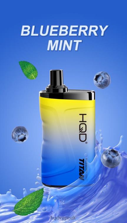 Blueberry Mint - HQD vape price - HQD TITAN 7000 PUFFS 806NZ6