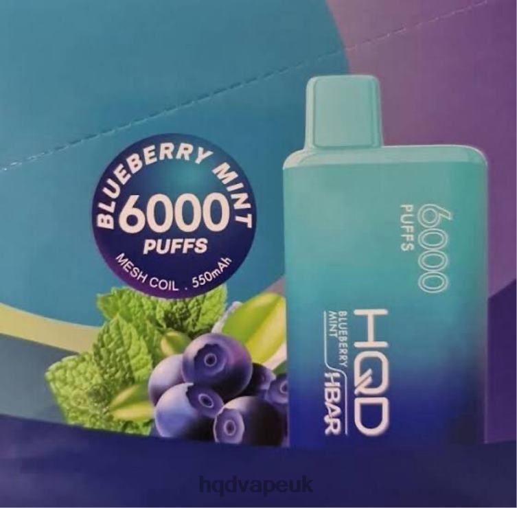 Blueberry Mint - buy HQD vape UK - HQD HBAR 6000 PUFFS 806NZ51