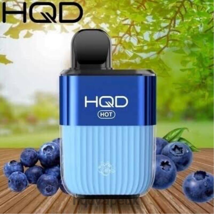 Blueberry - HQD vape price - HQD HOT 5000 PUFFS 806NZ66