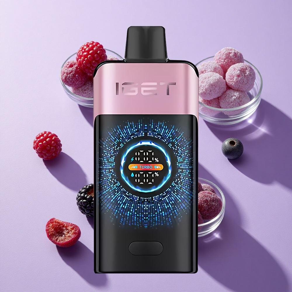 IGET ONE 12000 Puffs Disposable Vape Blackberry Ice with 2700mAh Battery & Dual Mesh Coil