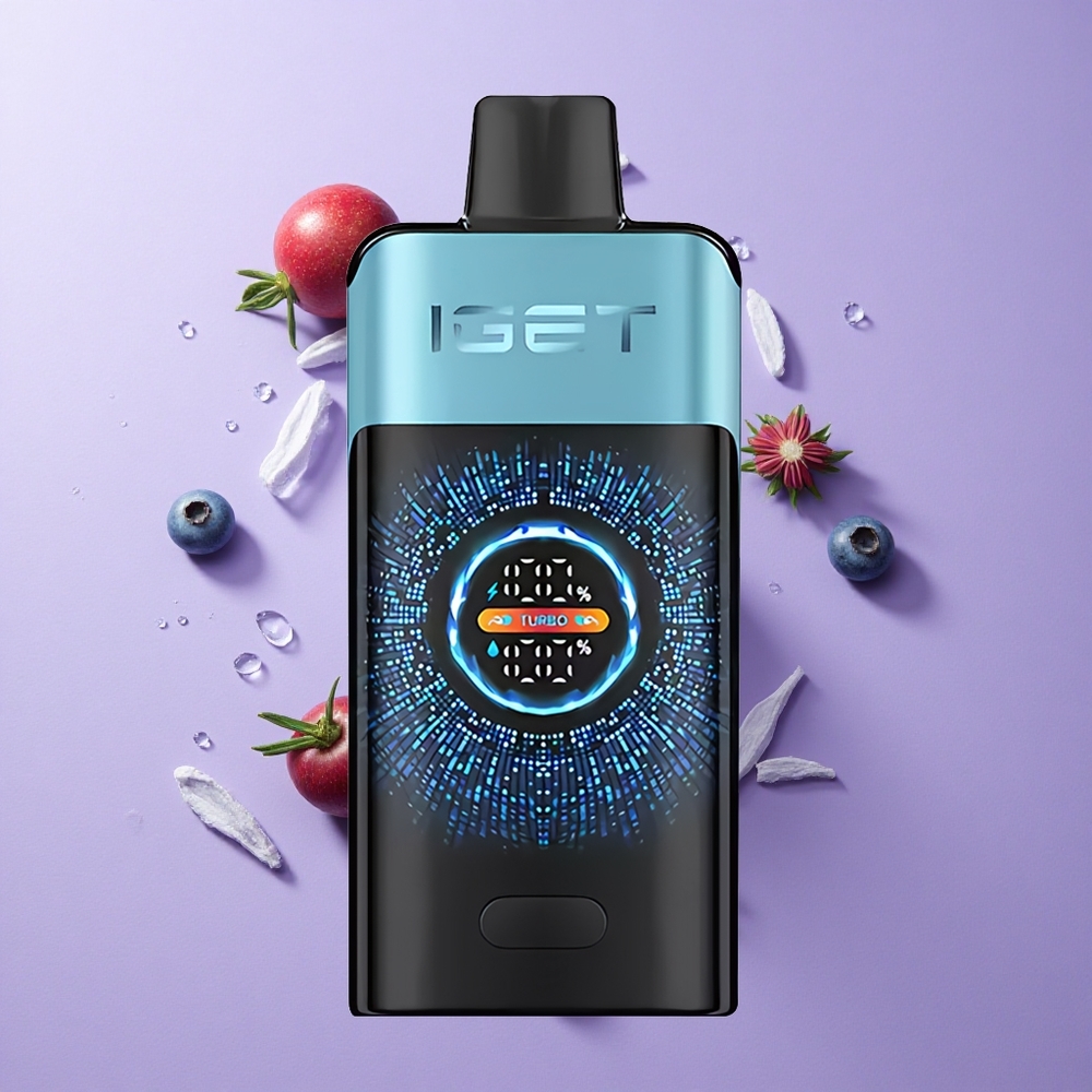 IGET ONE 12000 Puffs Disposable Vape Blueberry Ice with Large Curved Color Screen
