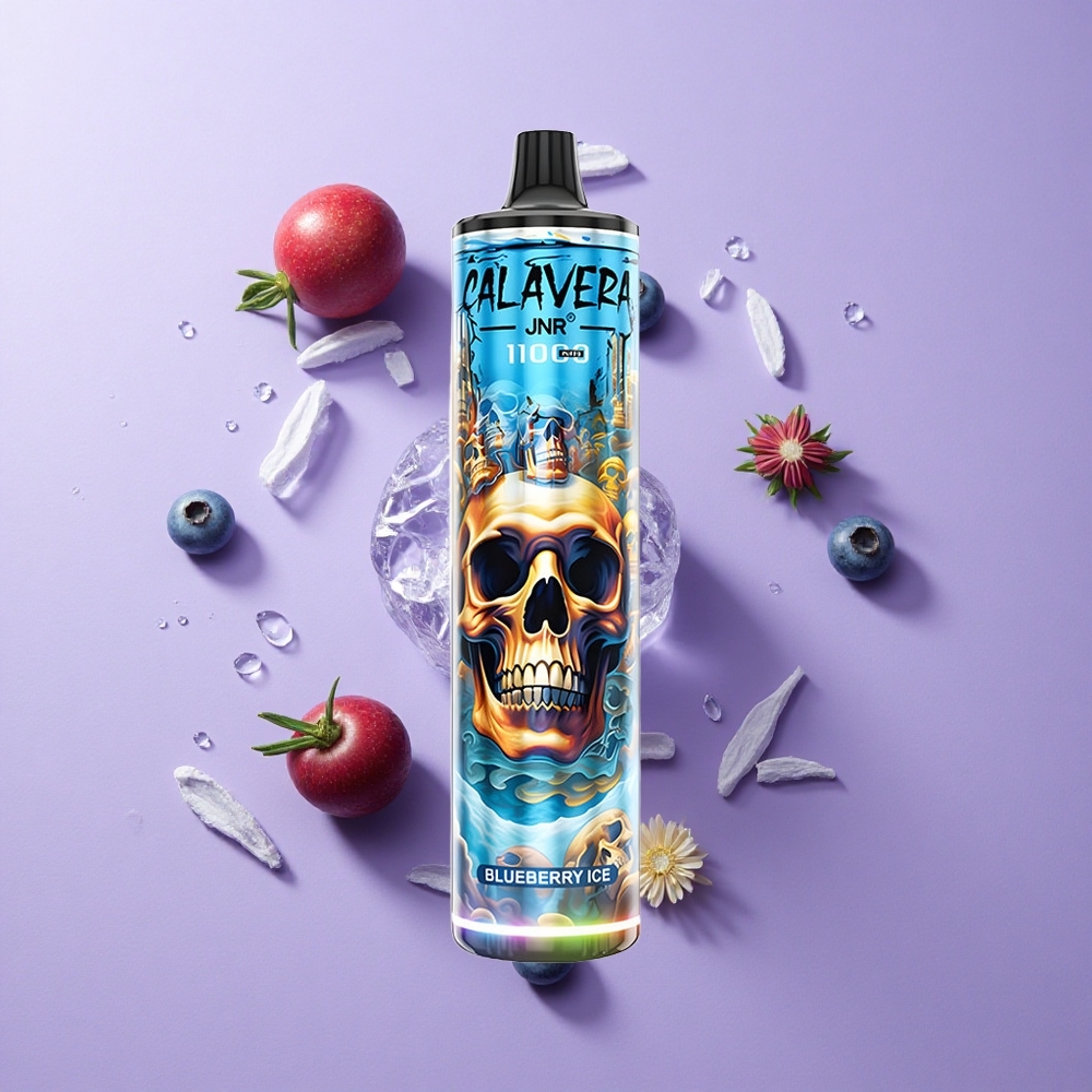 JNR Calavera 11000 Puffs Disposable Vape Blueberry Ice 850mAh 21ml