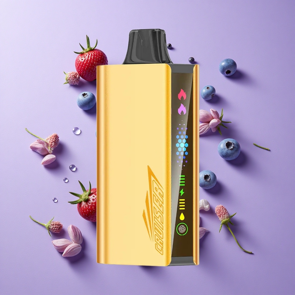 JNR Cruiser 12000 Puffs Built-in 3500mAh Disposable Vape Blueberry Blast