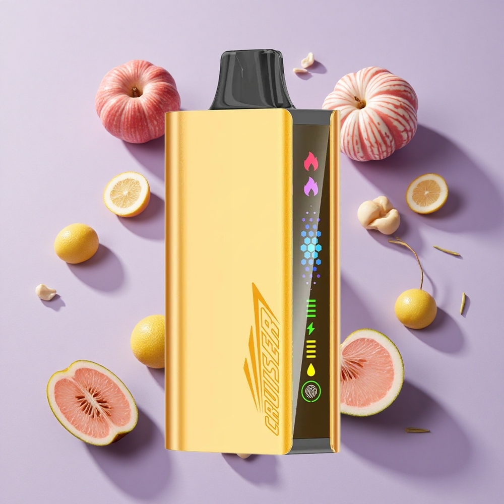 JNR Cruiser 12000 Puffs Built-in 3500mAh Disposable Vape Cool Mint