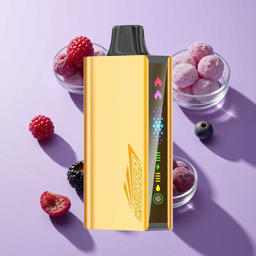 JNR Cruiser 12000 Puffs Built-in Battery Disposable Vape Blackberry Ice