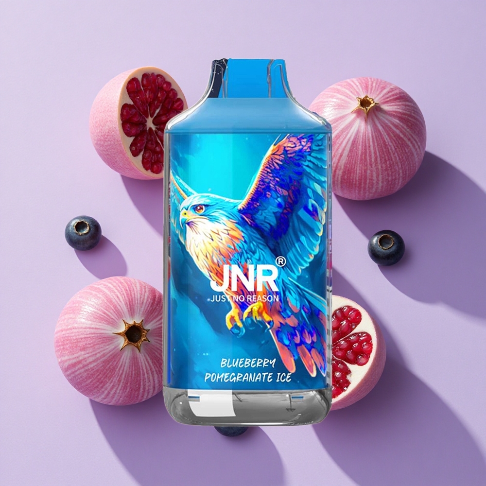 JNR Falcon 16000 Puffs 22ml Blueberry Pomegranate Ice Dual Mesh
