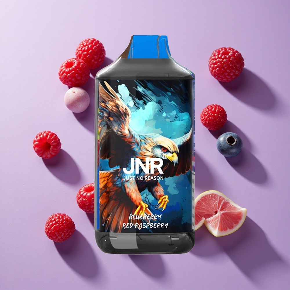 JNR Falcon 16000 Puffs Blueberry Red Raspberry Dual Mesh Coil Type C Charging