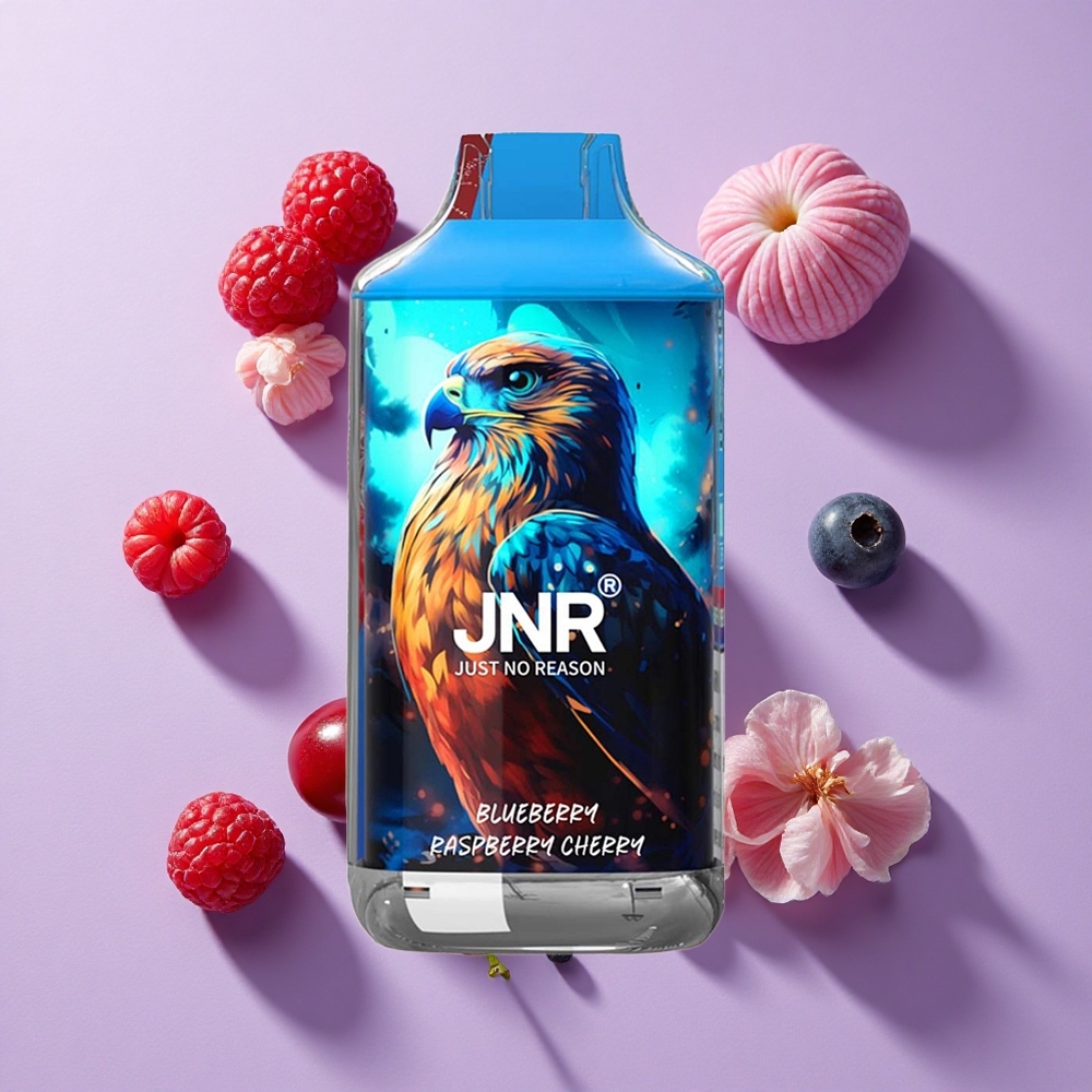 JNR Falcon 16000 Puffs Dual Mesh 22ml Blueberry Raspberry Cherry