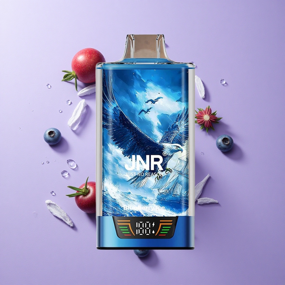 JNR Falcon Pro 28000 Disposable Vape Blueberry Ice with Smart Display & Dual Mesh Coil