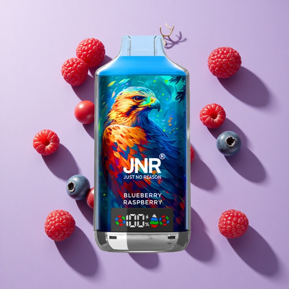 JNR Falcon X 18000 Puffs 24ml Dual Mesh Blueberry Raspberry