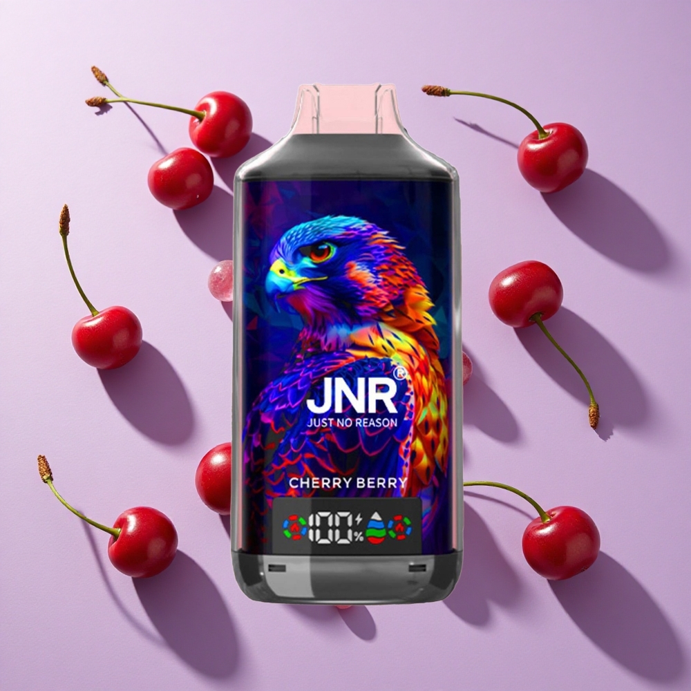 JNR Falcon X 18000 Puffs Dual Mesh Cherry Berry Type-C Quick Charge