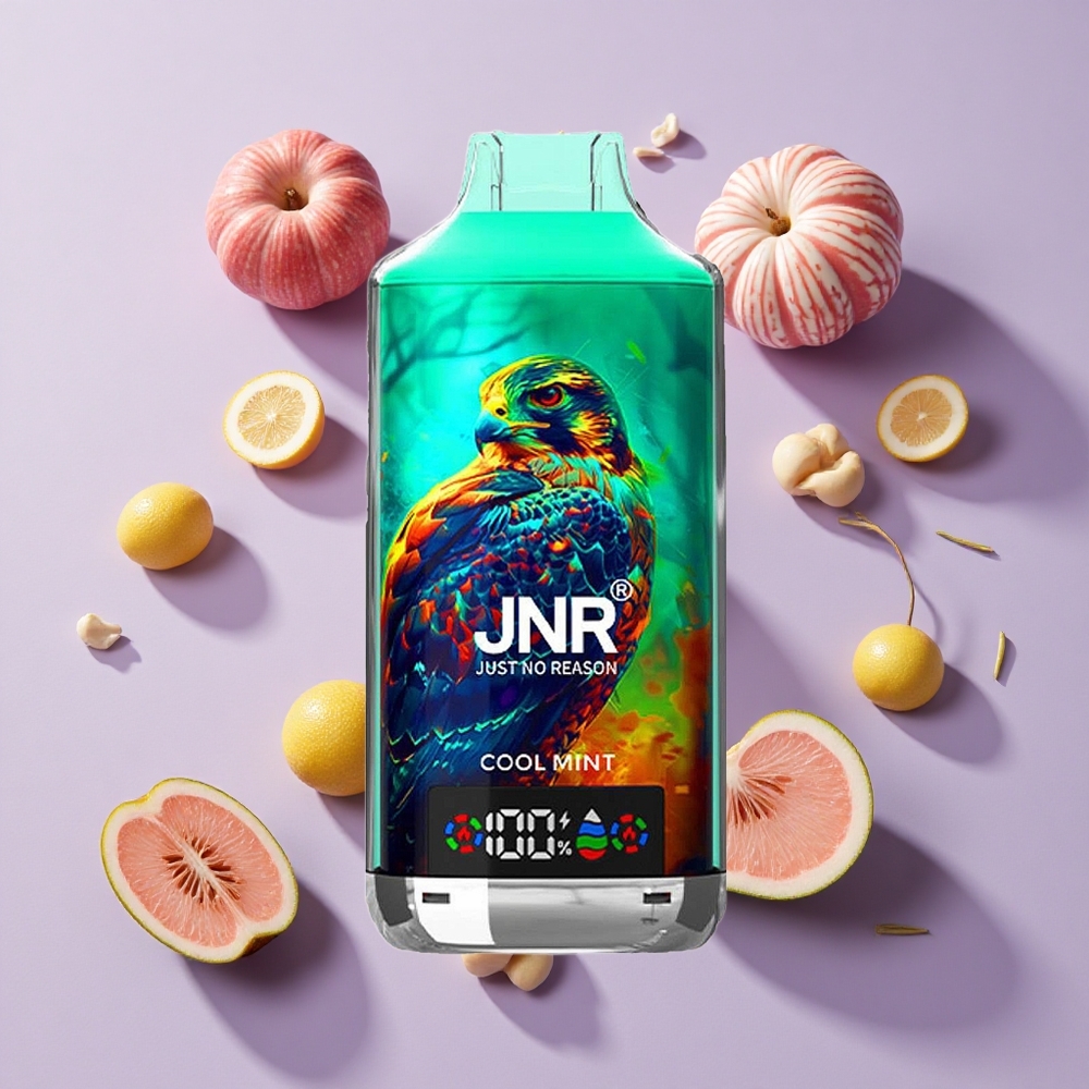 JNR Falcon X 18000 Puffs Dual Mesh Cool Mint