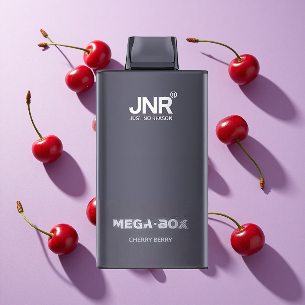 JNR Mega Box 25000 Puffs Disposable Vape Cherry Berry Type-C Quick Charge