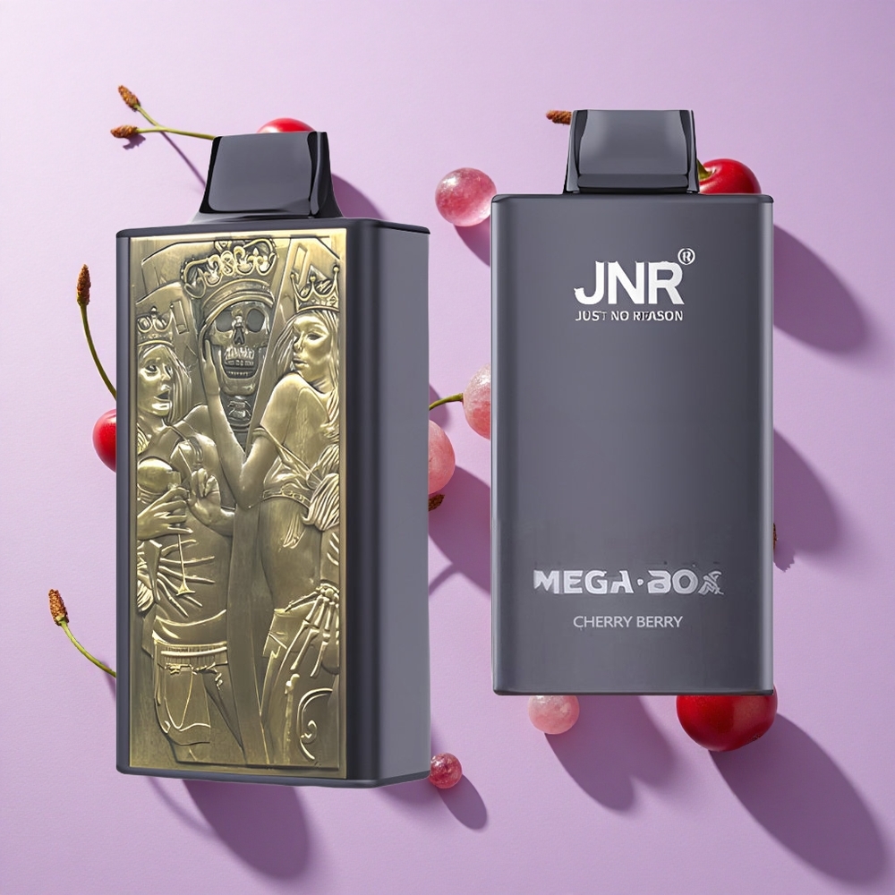 JNR Mega Box 25000 Puffs Disposable Vape Cherry Berry Type-C Quick Charge