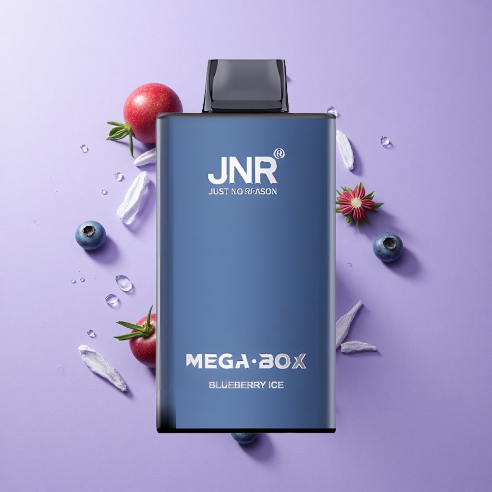 JNR Mega Box 25000 Puffs Dual Mesh Blueberry Ice Disposable Vape