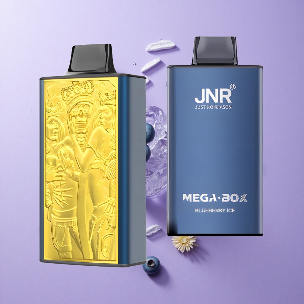 JNR Mega Box 25000 Puffs Dual Mesh Blueberry Ice Disposable Vape