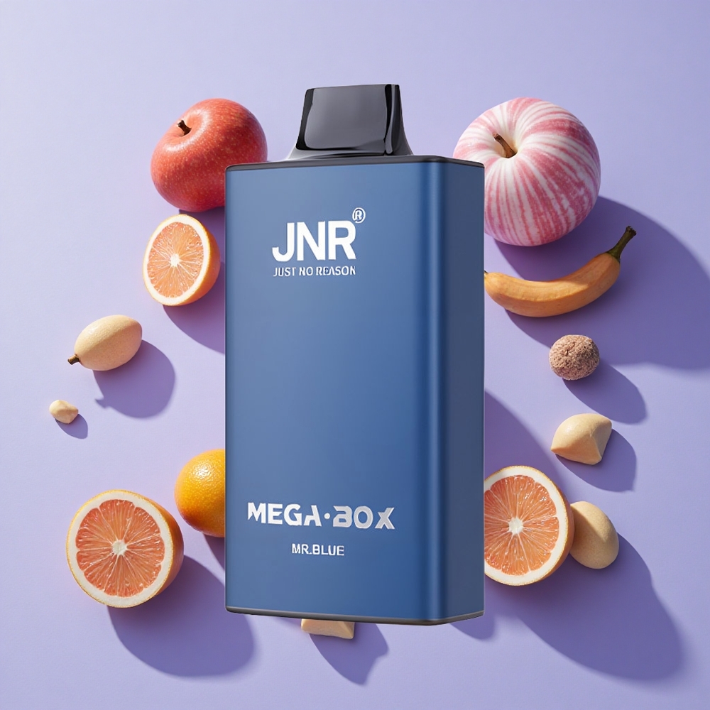 JNR Mega Box 25000 Puffs Dual Mesh Disposable Vape Mr Blue