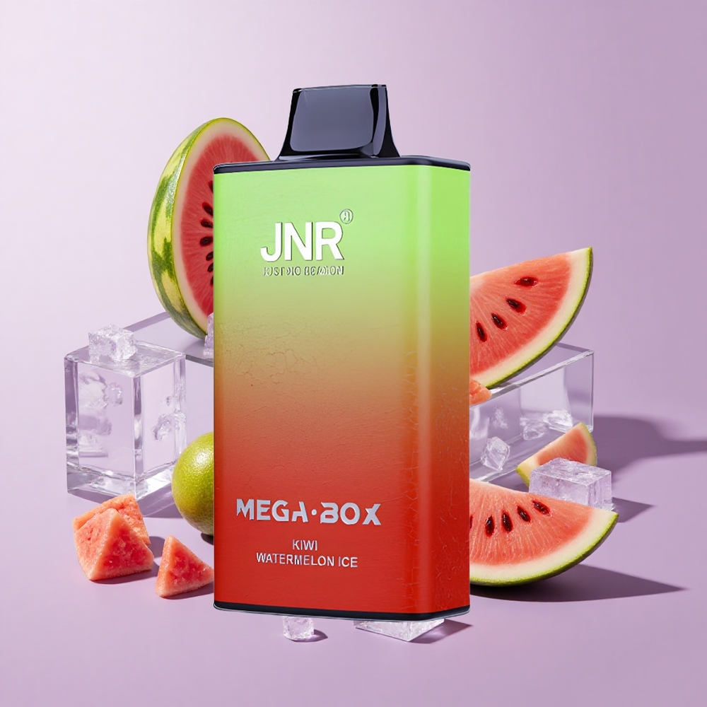 JNR Mega Box 25000 Puffs Kiwi Watermelon Ice Dual Mesh Core
