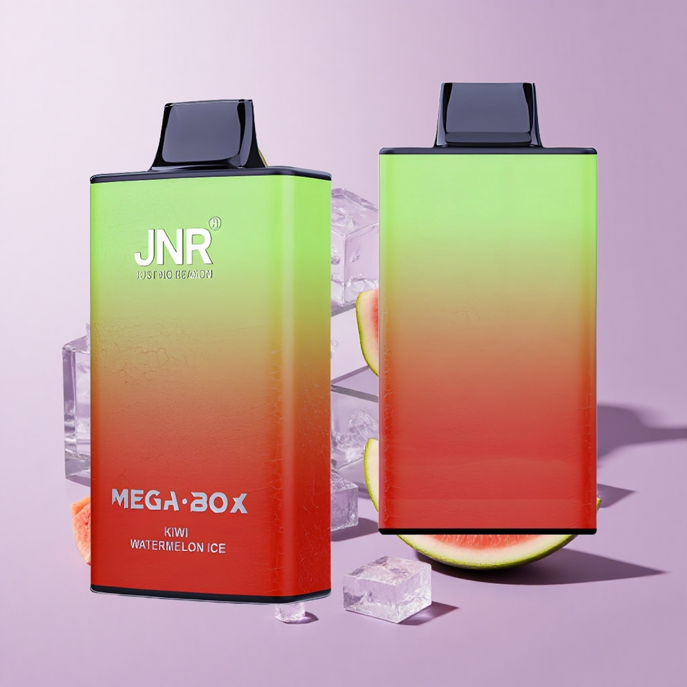 JNR Mega Box 25000 Puffs Kiwi Watermelon Ice Dual Mesh Core