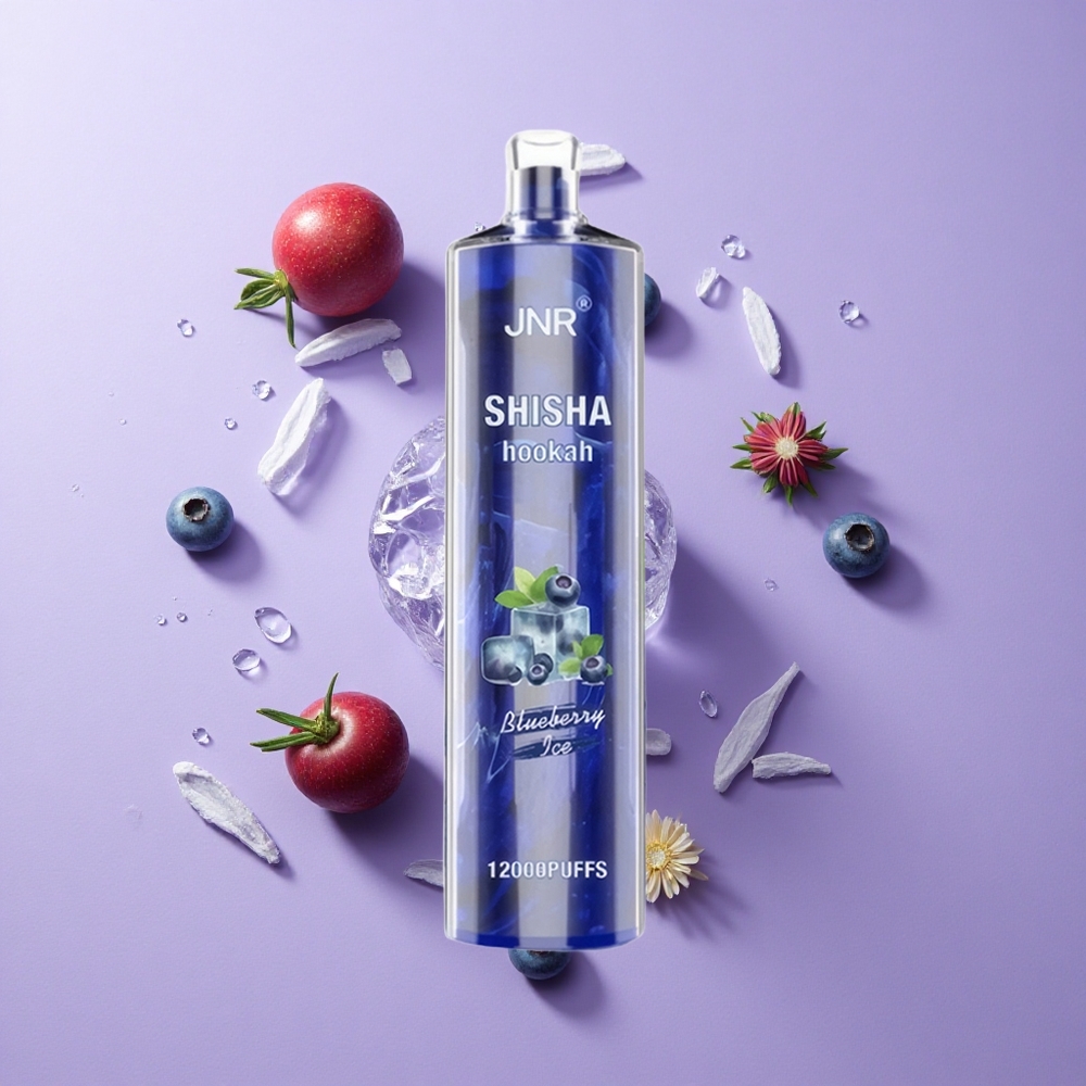 JNR Shisha Hookah 12000 Puffs 24ml Blueberry Ice