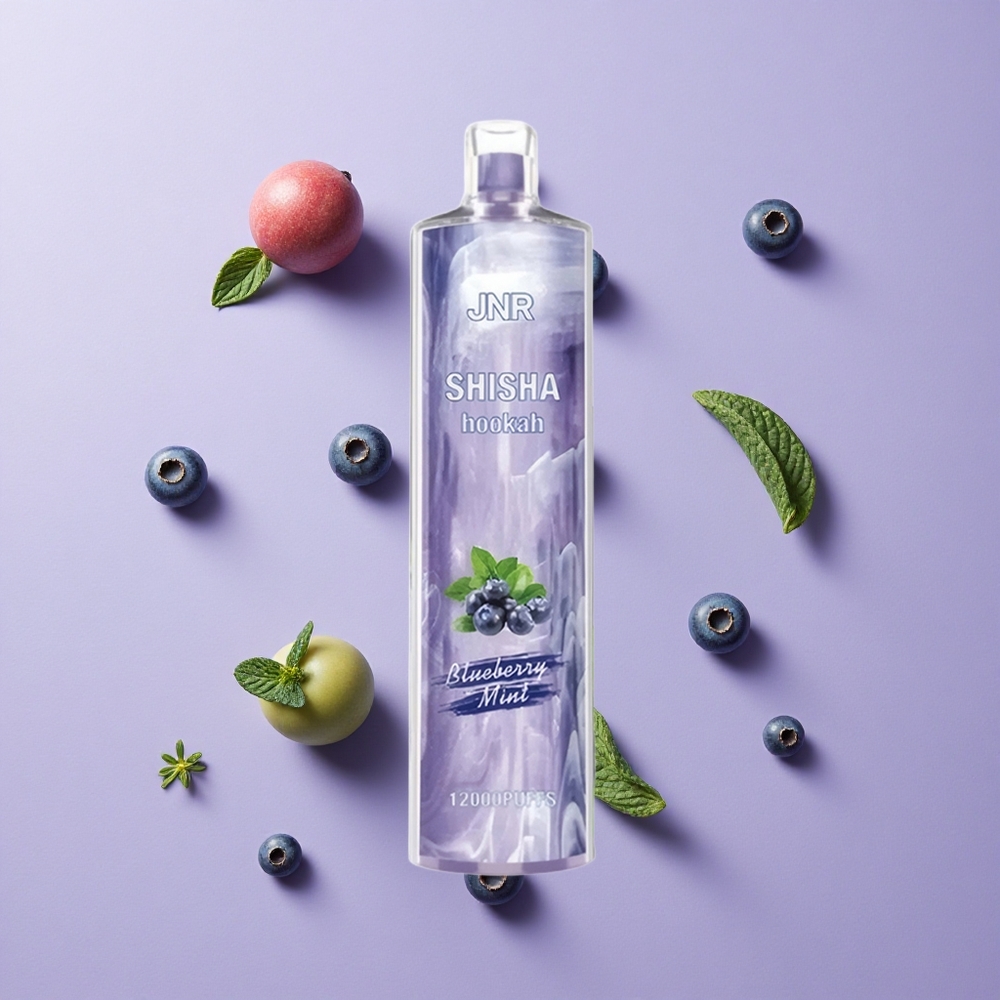 JNR Shisha Hookah 12000 Puffs 24ml Blueberry Mint Disposable Vape