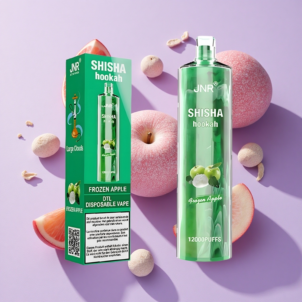 JNR Shisha Hookah 12000 Puffs 24ml Frozen Apple Type-C