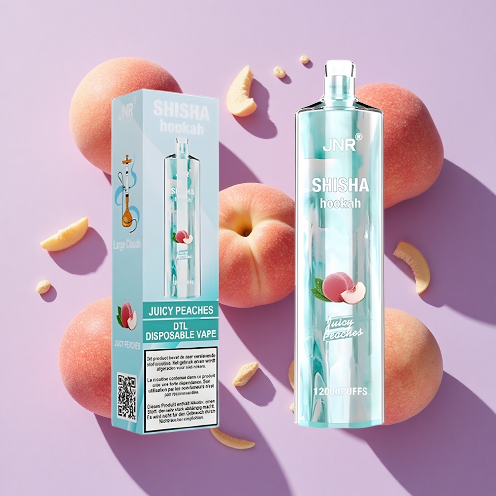 JNR Shisha Hookah 12000 Puffs Juicy Peaches 24ml Type-C