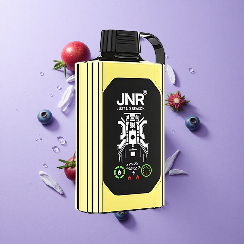 JNR Shisha Hookah Box 20500 Puffs Dual Mesh Coil Blueberry Ice